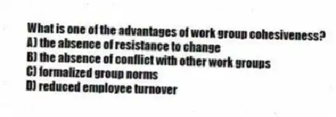 What is one of the advantages of work group cohesiveness?
A) the absence of resistance to change
B) the absence of conflict with other work groups
C) formalized group norms
D) reduced employee turnover