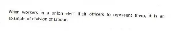 When workers in a union elect their officers to represent them, it is an example of division of labour.