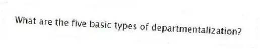 What are the five basic types of departmentalization?