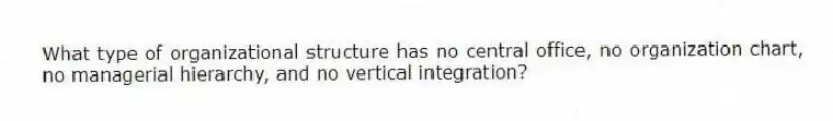 What type of organizational structure has no central office, no organization chart, no managerial hierarchy, and no vertical integration?