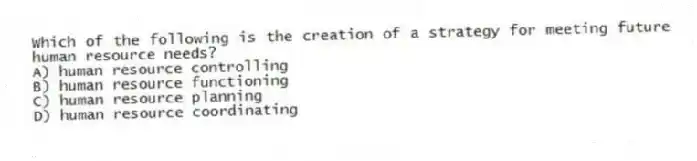 Which of the following is the creation of a strategy for meeting future human resource needs?
A) human resource controlling
B) human resource functioning
C) human resource planning
D) human resource coordinating
