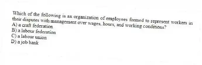 Which of the following is an organization of employees formed to represent workers in their disputes with management over wages, hours, and working conditions?
A) a craft federation
B) a labour federation
C) a labour union
D) a job bank