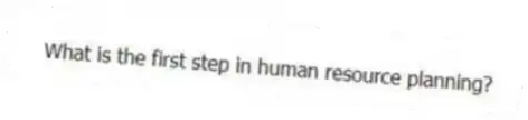 What is the first step in human resource planning?