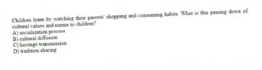 Children learn by watching their parents' shopping and consuming habits. What is this passing down of cultural values and norms to children?
A) socialization process
B) cultural diffusion
C) heritage transmission
D) tradition sharing
