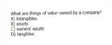 What are things of value owned by a company?
A) intangibles
B) assets
C) owners' equity
D) tangibles