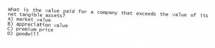 What is the value paid for a company that exceeds the value of its net tangible assets?
A) market value
B) appreciation value
C) premium price
D) goodwill