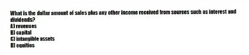 What is the dollar amount of sales plus any other income received from sources such as interest and dividends?
A) revenues
B) capital
C) intangible assets
D) equities