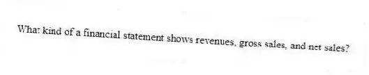 What kind of a financial statement shows revenues, gross sales, and net sales?