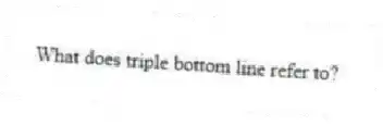 What does triple bottom line refer to?