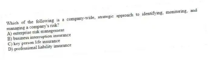 Which of the following is a company-wide, strategic approach to identifying, monitoring, and managing a company's risk?
A) enterprise risk management
B) business interruption insurance
C) key person life insurance
D) professional liability insurance