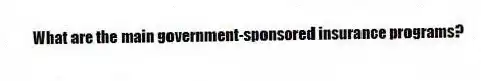 What are the main government-sponsored insurance programs?