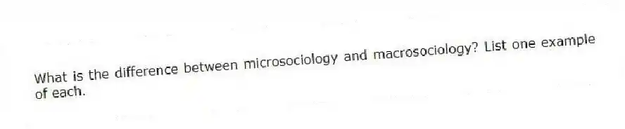 What is the difference between microsociology and macrosociology? List one example of each.