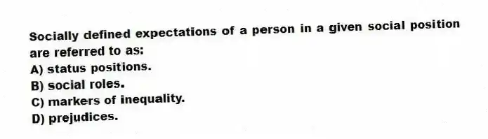 Socially defined expectations of a person in a given social position are referred to as:
A) status positions.
B) social roles.
C) markers of inequality.
D) prejudices.