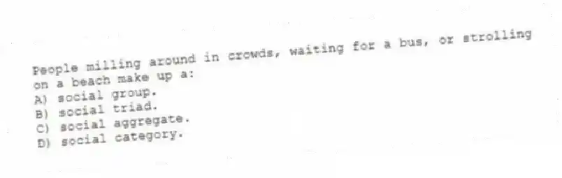 People milling around in crowds, waiting for a bus, or strolling on a beach make up a:
A) social group.
B) social triad.
C) social aggregate.
D) social category.