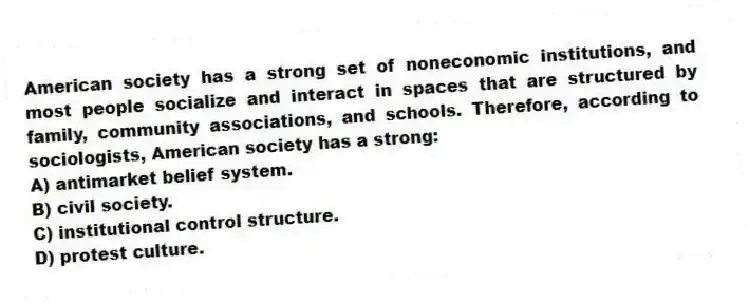 American society has a strong set of noneconomic institutions, and most people socialize and interact in spaces that are structured by family, community associations, and schools. Therefore, according to sociologists, American society has a strong:
A) antimarket belief system.
B) civil society.
C) institutional control structure.
D) protest culture.