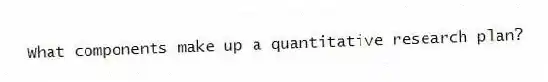 What components make up a quantitative research plan?