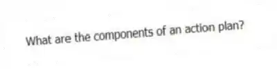 What are the components of an action plan?
