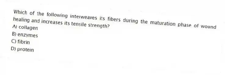 Which of the following interweaves its fibers during the maturation phase of wound healing and increases its tensile strength?
A) collagen
B) enzymes
C) fibrin
D) protein