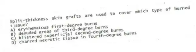 Split-thickness skin grafts are used to cover which type of burned tissue?
A) erythematous first-degree burns
B) denuded areas of third-degree burns
C) blistered superficial second-degree burns
D) charred necrotic tissue in fourth-degree burns