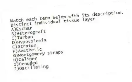 Match each term below with its description.
-Distinct individual tissue layer
A)Eschar
B)Heterograft
C)Turban
D)Hypovolemia
E)Stratum
F)Aesthetic
G)Montgomery straps
H)Caliper
I)Denuded
J)Oscillating