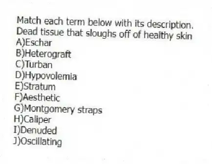 Match each term below with its description.
-Dead tissue that sloughs off of healthy skin
A)Eschar
B)Heterograft
C)Turban
D)Hypovolemia
E)Stratum
F)Aesthetic
G)Montgomery straps
H)Caliper
I)Denuded
J)Oscillating