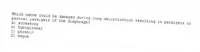 Which nerve could be damaged during lung decortication resulting in paralysis or partial paralysis of the diaphragm?
A) accessory
B) hypoglossal
C) phrenic
D) vagus