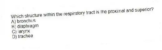 Which structure within the respiratory tract is the proximal and superior?
A) bronchus
B) diaphragm
C) larynx
D) trachea