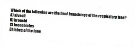 Which of the following are the final branchings of the respiratory tree?
A) alveoli
B) bronchi
C) bronchioles
D) lobes of the lung