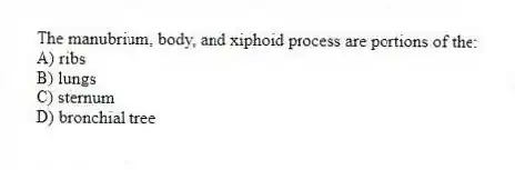 The manubrium, body, and xiphoid process are portions of the:
A) ribs
B) lungs
C) sternum
D) bronchial tree
