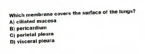 Which membrane covers the surface of the lungs?
A) ciliated mucosa
B) pericardium
C) parietal pleura
D) visceral pleura