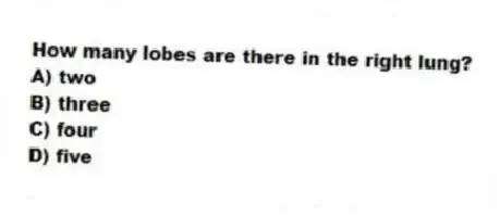 How many lobes are there in the right lung?
A) two
B) three
C) four
D) five