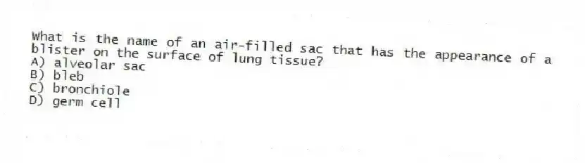 What is the name of an air-filled sac that has the appearance of a blister on the surface of lung tissue?
A) alveolar sac
B) bleb
C) bronchiole
D) germ cell