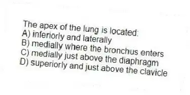 The apex of the lung is located:
A) inferiorly and laterally
B) medially where the bronchus enters
C) medially just above the diaphragm
D) superiorly and just above the clavicle