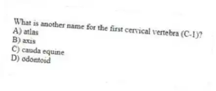 What is another name for the first cervical vertebra (C-1)?
A) atlas
B) axis
C) cauda equine
D) odontoid