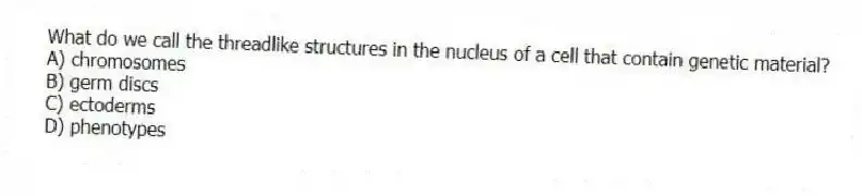 What do we call the threadlike structures in the nucleus of a cell that contain genetic material?
A) chromosomes
B) germ discs
C) ectoderms
D) phenotypes