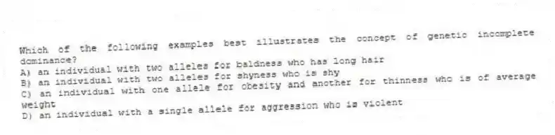 Which of the following examples best illustrates the concept of genetic incomplete dominance?
A) an individual with two alleles for baldness who has long hair
B) an individual with two alleles for shyness who is shy
C) an individual with one allele for obesity and another for thinness who is of average weight
D) an individual with a single allele for aggression who is violent