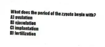 What does the period of the zygote begin with?
A) ovulation
B) ejaculation
C) implantation
D) fertilization