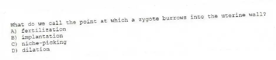 What do we call the point at which a zygote burrows into the uterine wall?
A) fertilization
B) implantation
C) niche-picking
D) dilation