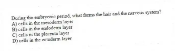 During the embryonic period, what forms the hair and the nervous system?
A) cells in the mesoderm layer
B) cells in the endoderm layer
C) cells in the placenta layer
D) cells in the ectoderm layer