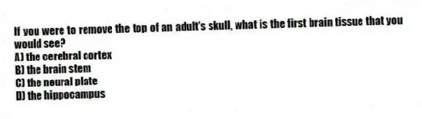 If you were to remove the top of an adult's skull, what is the first brain tissue that you would see?
A) the cerebral cortex
B) the brain stem
C) the neural plate
D) the hippocampus