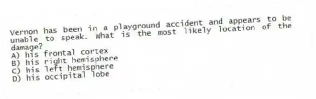 Vernon has been in a playground accident and appears to be unable to speak. What is the most likely location of the damage?
A) his frontal cortex
B) his right hemisphere
C) his left hemisphere
D) his occipital lobe