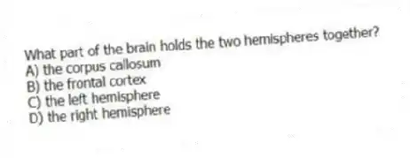 What part of the brain holds the two hemispheres together?
A) the corpus callosum
B) the frontal cortex
C) the left hemisphere
D) the right hemisphere