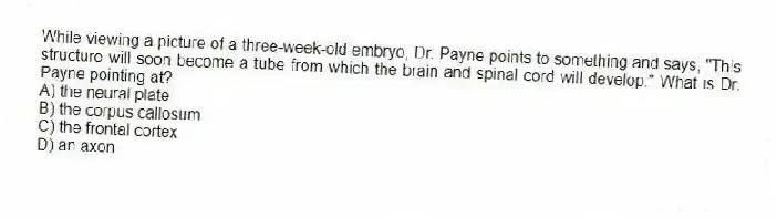 While viewing a picture of a three-week-old embryo, Dr. Payne points to something and says, "This structure will soon become a tube from which the brain and spinal cord will develop." What is Dr. Payne pointing at?
A) the neural plate
B) the corpus callosum
C) the frontal cortex
D) an axon