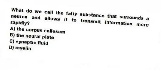 What do we call the fatty substance that surrounds a neuron and allows it to transmit information more rapidly?
A) the corpus callosum
B) the neural plate
C) synaptic fluid
D) myelin