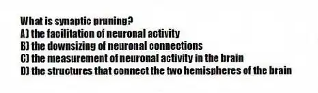 What is synaptic pruning?
A) the facilitation of neuronal activity
B) the downsizing of neuronal connections
C) the measurement of neuronal activity in the brain
D) the structures that connect the two hemispheres of the brain
