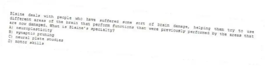 Blaine deals with people who have suffered some sort of brain damage, helping them try to use different areas of the brain that perform functions that were previously performed by the areas that are now damaged. What is Blaine's specialty?
A) neuroplasticity
B) synaptic pruning
C) neural plate studies
D) motor skills