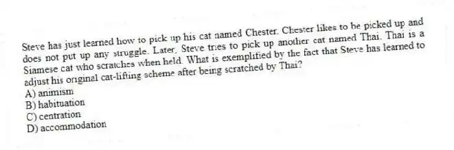 Steve has just learned how to pick up his cat named Chester. Chester likes to be picked up and does not put up any struggle. Later, Steve tries to pick up another cat named Thai. Thai is a Siamese cat who scratches when held. What is exemplified by the fact that Steve has learned to adjust his original cat-lifting scheme after being scratched by Thai?
A) animism
B) habituation
C) centration
D) accommodation