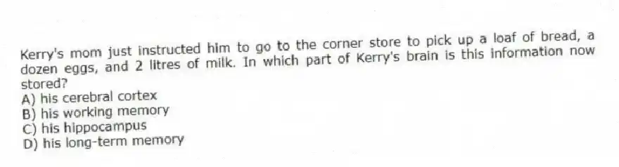 Kerry's mom just instructed him to go to the corner store to pick up a loaf of bread, a dozen eggs, and 2 litres of milk. In which part of Kerry's brain is this information now stored?
A) his cerebral cortex
B) his working memory
C) his hippocampus
D) his long-term memory