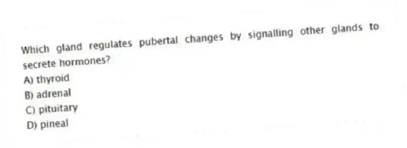 Which gland regulates pubertal changes by signalling other glands to secrete hormones?
A) thyroid
B) adrenal
C) pituitary
D) pineal