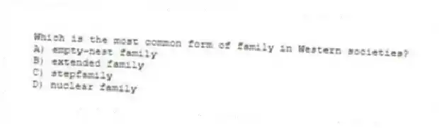 Which is the most common form of family in Western societies?
A) empty-nest family
B) extended family
C) stepfamily
D) nuclear family